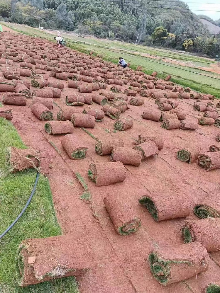 出货后的草场