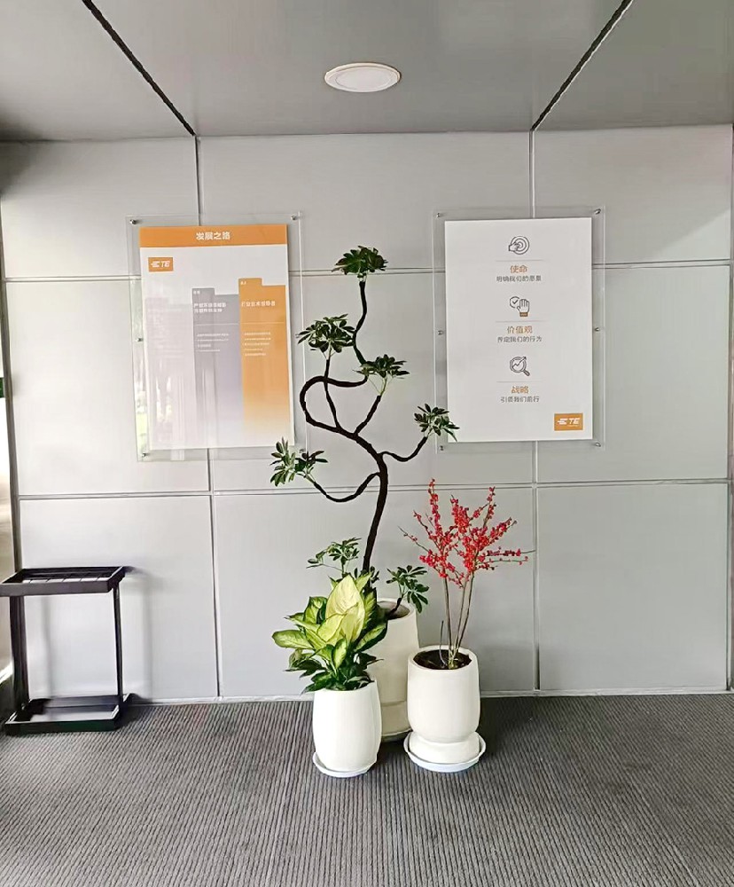 盆景租赁