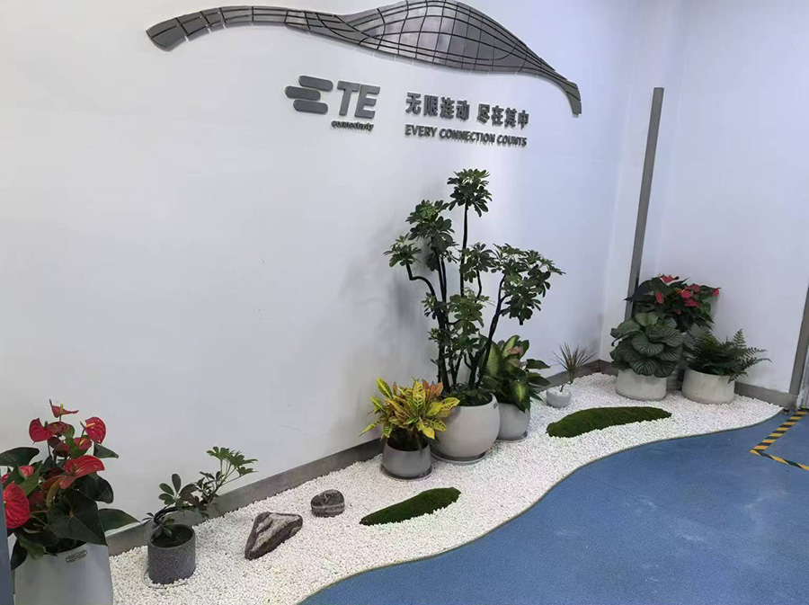 盆栽租赁