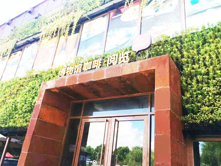 垂直绿化